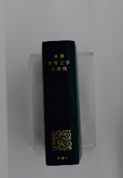 新潮世界文学小辞典