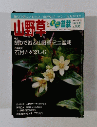 山野草とミニ盆栽　2014年夏号