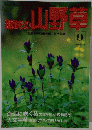 趣味の 山野草　1984年9月号　
