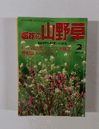 趣味の山野草１９９４年