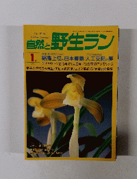 自然と野生ラン　1997年1月1日発行　