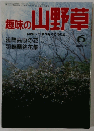 趣味の山野草　1994年6月号　No.167