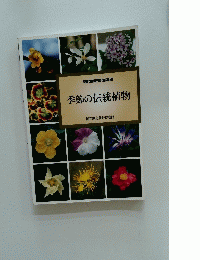 季節の伝統植物
