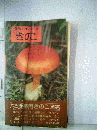 野外ハンド 3 きのこ
