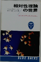 相対性理論の世界 はじめて学ぶ人のために