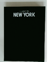THE GREAT CITIES NEW YORK