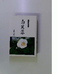 白芙蓉