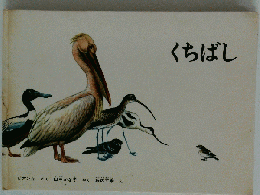 くちばし