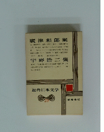 近代日本文学　28