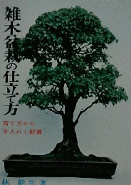 雑木盆栽の仕立て方