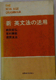 新英文法の活用