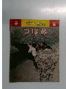 プチサイエンス つばめ 1982年5月号 No.14