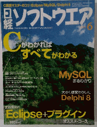 日経ソフトウエア　2004年6月号