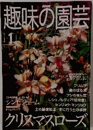 NHK趣味の園芸　２００１年１月号
