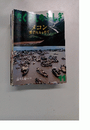 たくさんのふしぎ メコン源流をもとめて