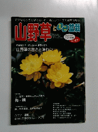 山野草とミニ盆栽 Vol.47　2005年新春号