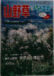 山野草とミニ盆栽　2004 秋　VOL 46