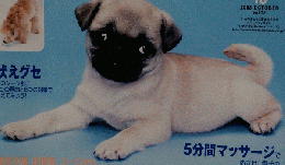 いぬのきもち　2003年10月　vol.17