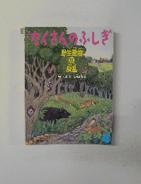 たくさんのふしぎ2011　4月　
