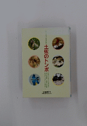 土佐のトンボ