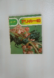 アリの一日