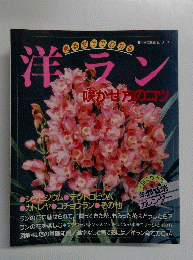 洋ラン