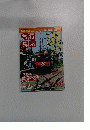 旅行 読売　2007年3月号