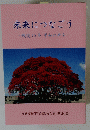 未来につなごう　戦後70年平和の声を