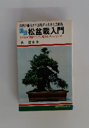 自然の雄大さを表現する生きた芸術品 図説 松盆栽入門