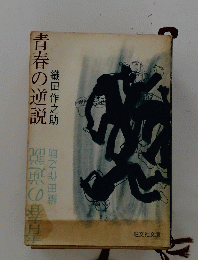 青春の逆説