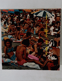 日本の旅 カラートラベルガイド 5　湘南/伊豆七島