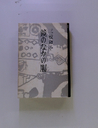 鏡のなかの闇