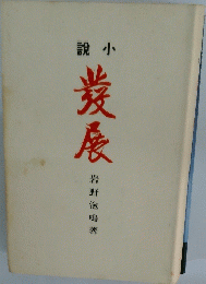 説小　発展 