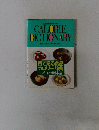 CALORIE　DICTIONARY