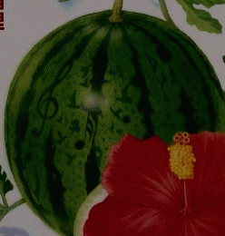 清流　２００３年8月号
