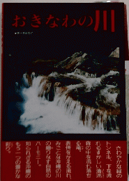 おきなわの川