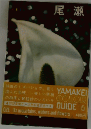 尾瀬　YAMAMKEI　COLOR　GUIDE　６
