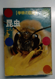 昆虫