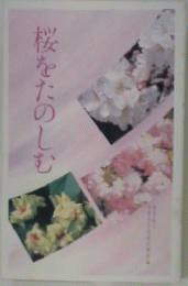 桜をたのしむ