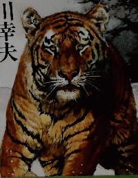 白色山県