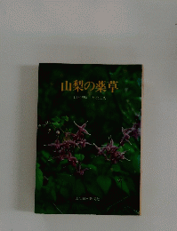 山梨の薬草