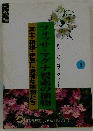 フォッサマグナ要素の植物　５