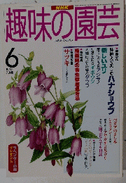 趣味の園芸　1997年6月号