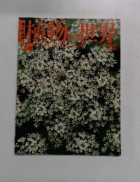植物の世界28