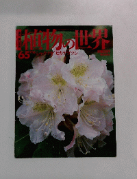 植物の世界　65　