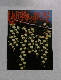 週刊朝日百科　8/20号　植物の世界　70　ベコニアパパイアキブシ