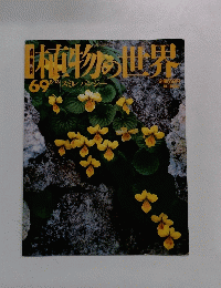 本物の世界　69　