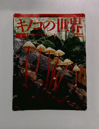 キノコの世界　