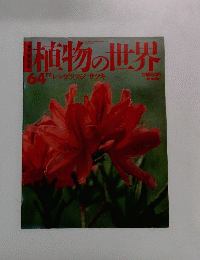 週刊朝日百科　7/9号　植物の世界　64　プレンゲツツジ サツキ