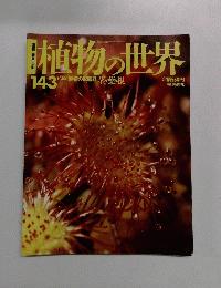 植物の世界　143　